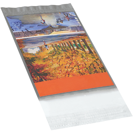 4.75 x 6.5" Clear View Poly Mailers